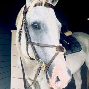 HDR Figure 8 Bridle (Used)